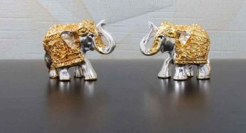 Elephant Idols : వాస్తు ప్ర‌కారం ఇంట్లో ఏనుగు బొమ్మ‌ల‌ను ఈ దిశ‌లో పెట్టండి.. ధ‌నం సిద్ధిస్తుంది..!