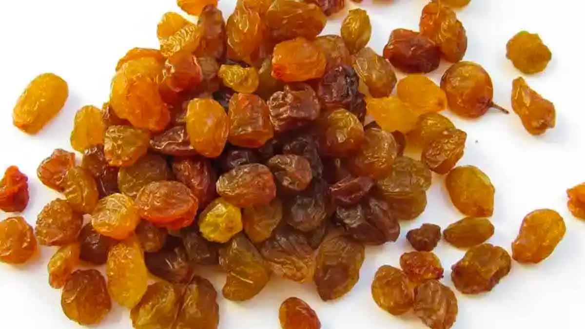 soaked raisins many wonderful health benefits 