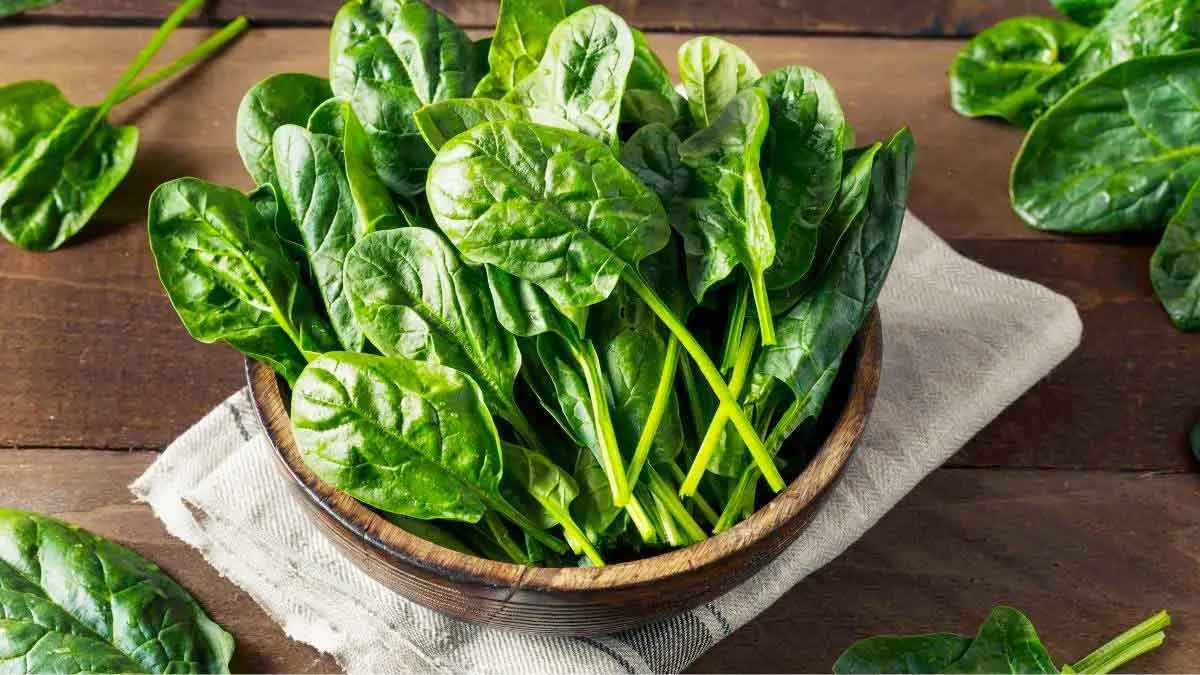 many wonderful health benefits of spinach 