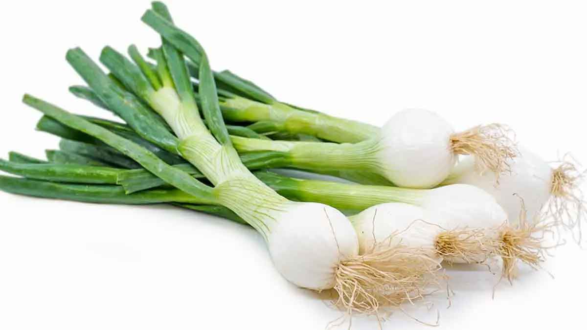 many wonderful health benefits of spring onions 