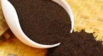 Tea Powder : మీరు వాడుతున్న టీ పొడి క‌ల్తీ అయిందా లేదా ఇలా గుర్తించండి..!