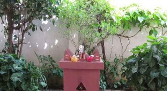 Tulsi Plant Pooja : గురువారం నాడు తుల‌సి మొక్క‌ను ఇలా పూజించండి.. మీరు ఏం కోరుకున్నా నెర‌వేరుతుంది..!