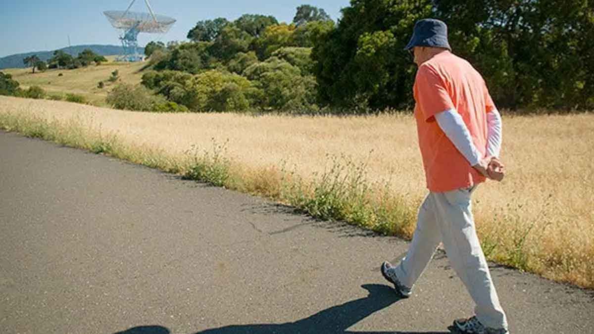 walking after meals is very good for health 