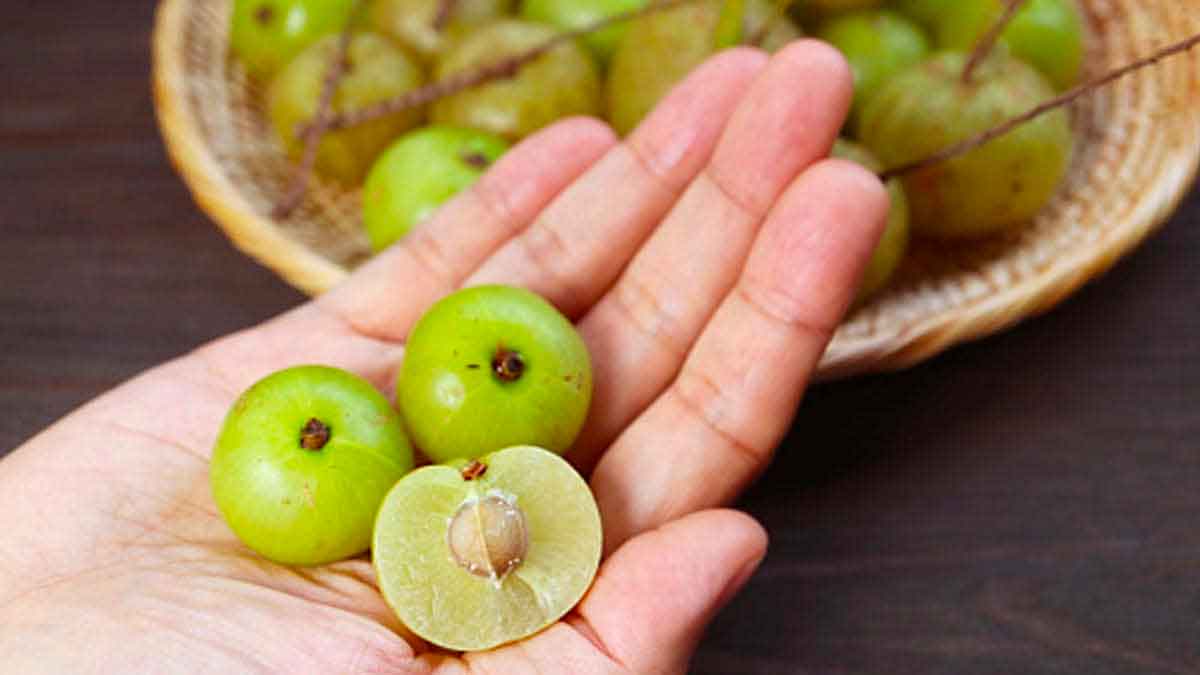 amla is very beneficial for beauty 