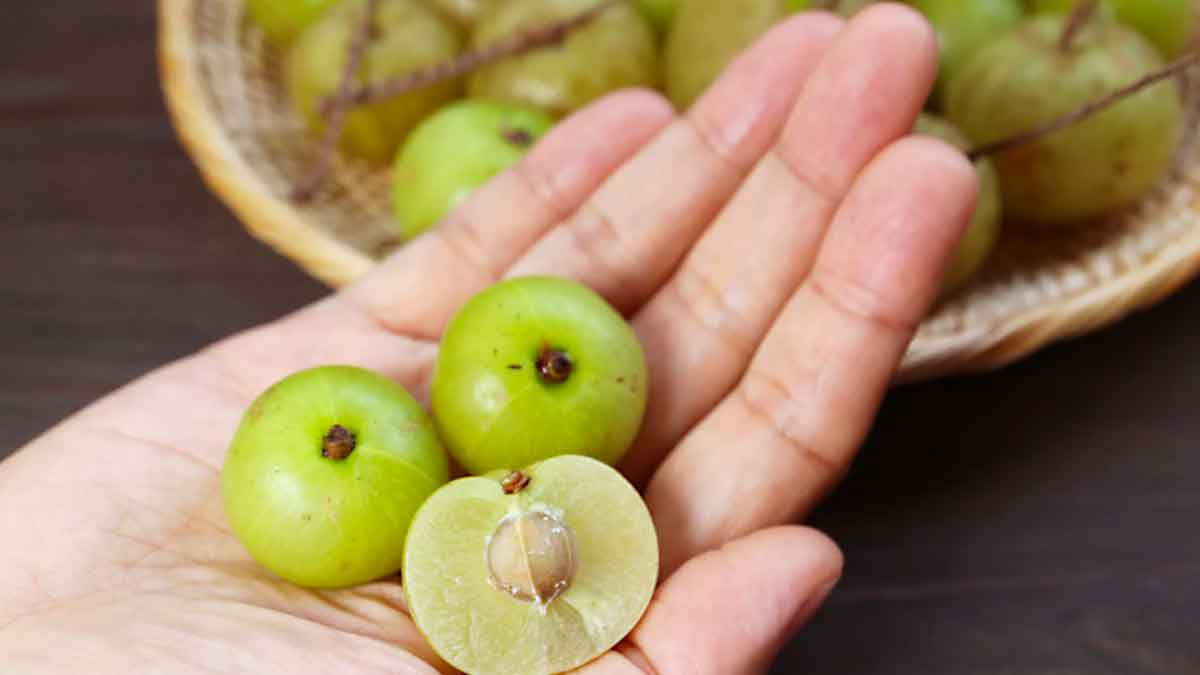 take daily one amla for these benefits 