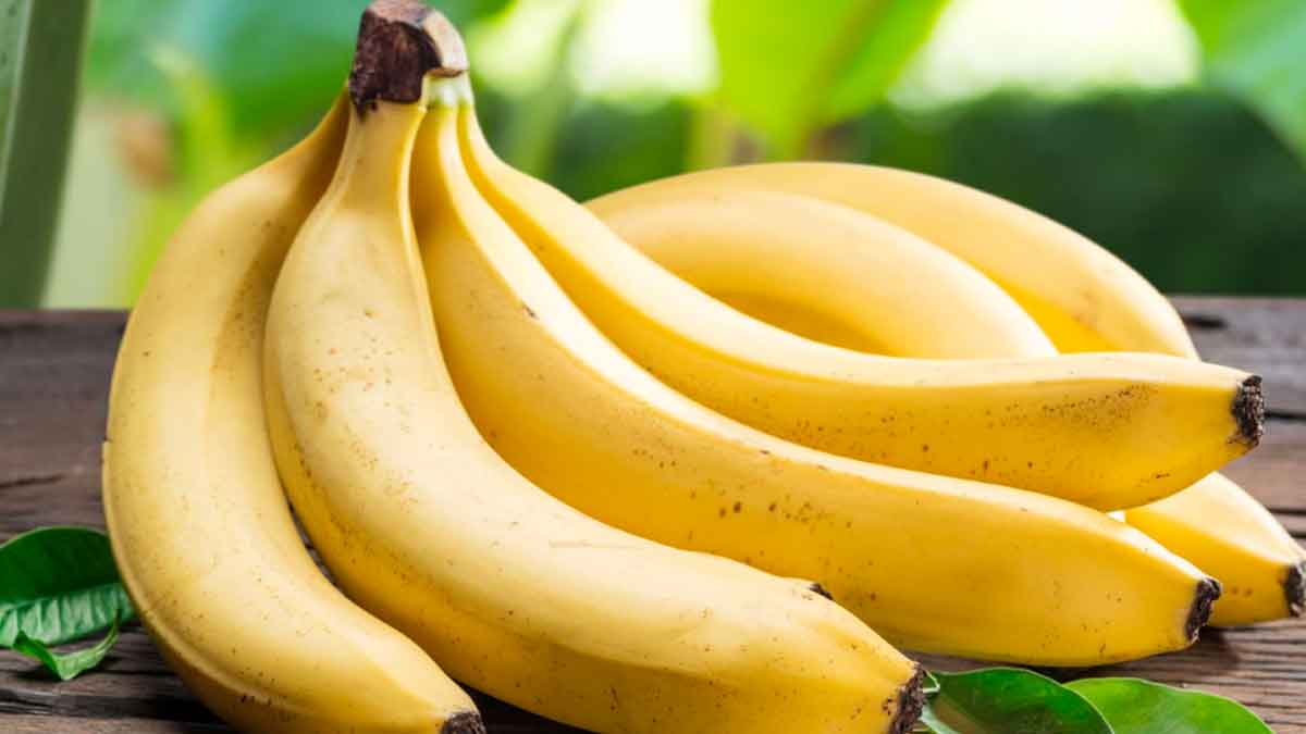 if you are buying banana then must follow these tips 