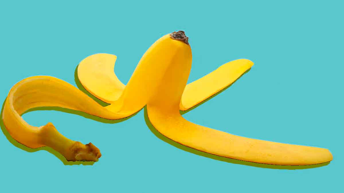 many wonderful health benefits of banana peel 