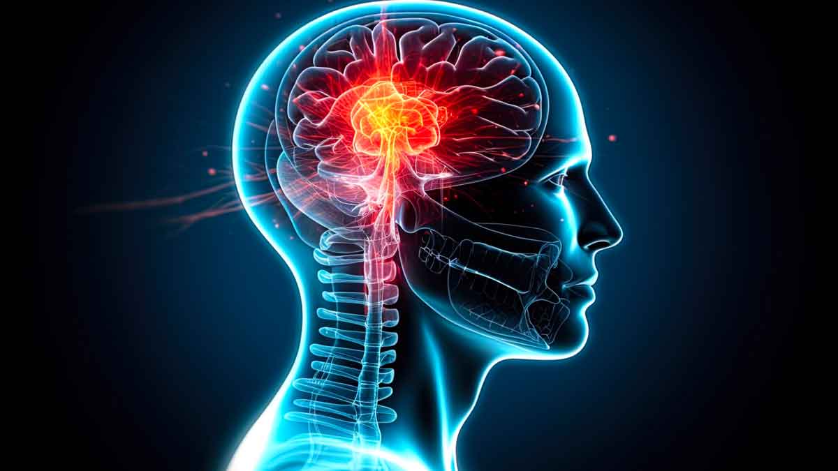 10 interesting facts about brain 