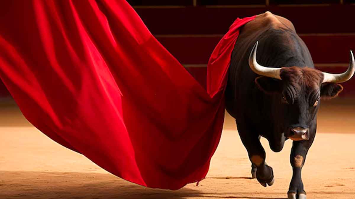 why bulls get angry if they see red color 