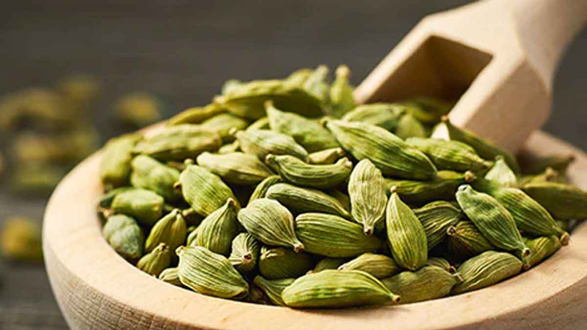 you can reduce weight with cardamom know how 