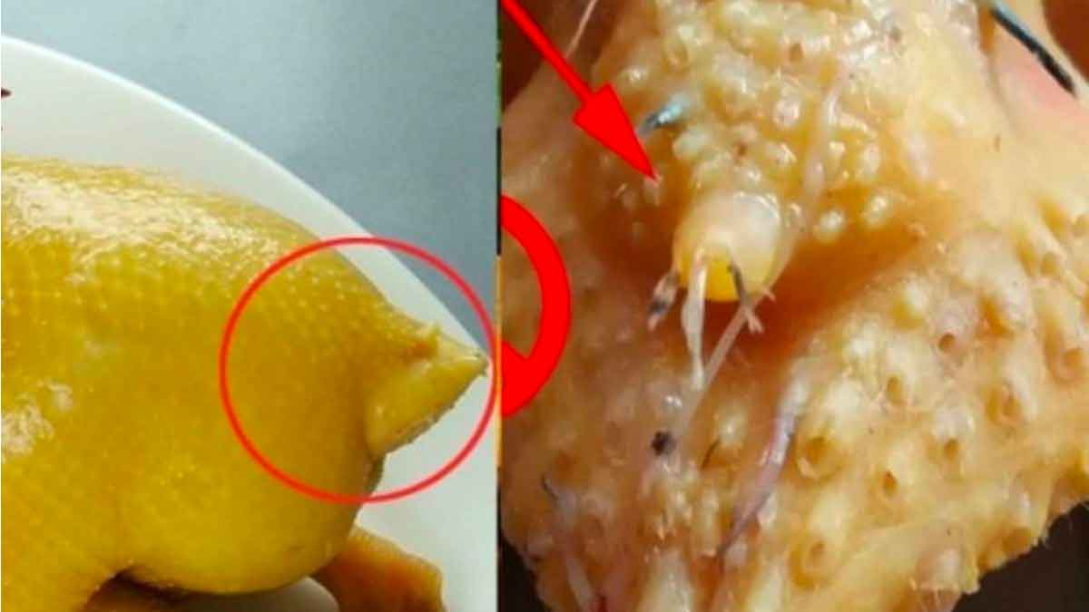 you should not eat these 4 parts of chicken 