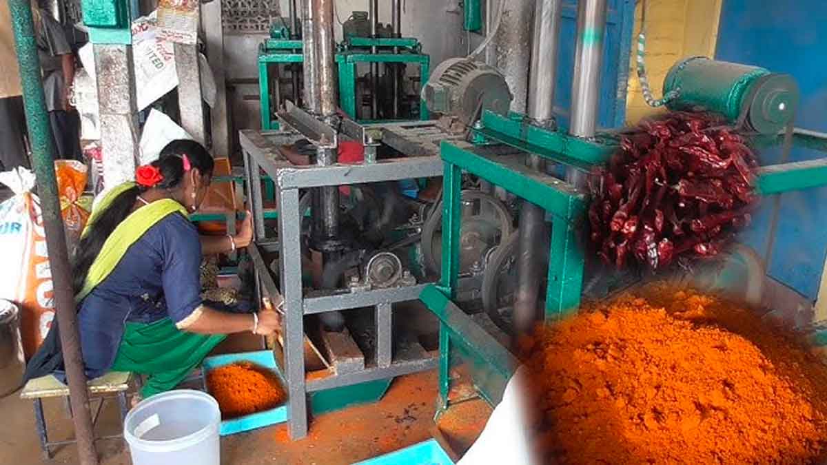 chilli powder making business you can earn good income 