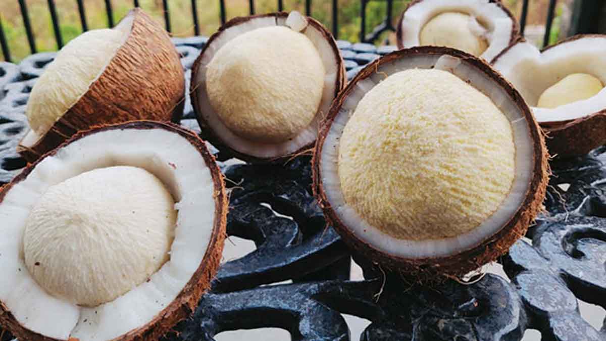 many wonderful health benefits of coconut flower