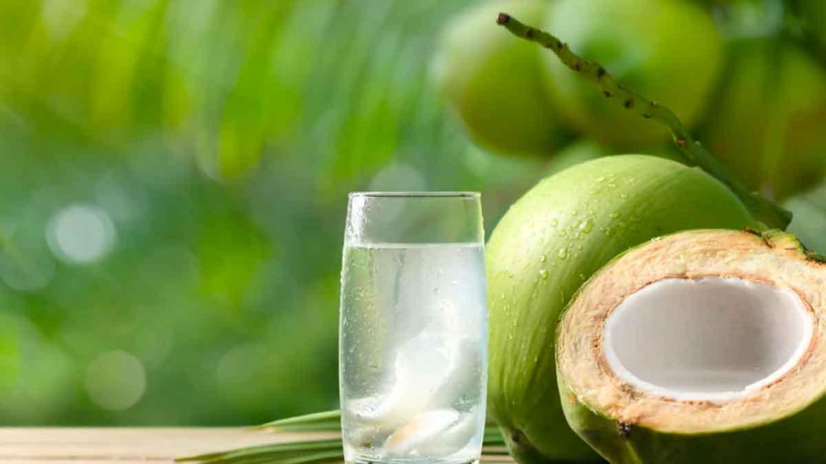 take coconut water daily in the morning for these benefits 