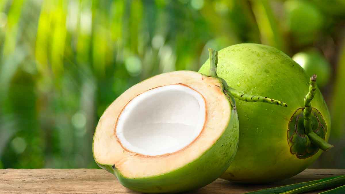 12 wonderful health benefits of drinking coconut water 