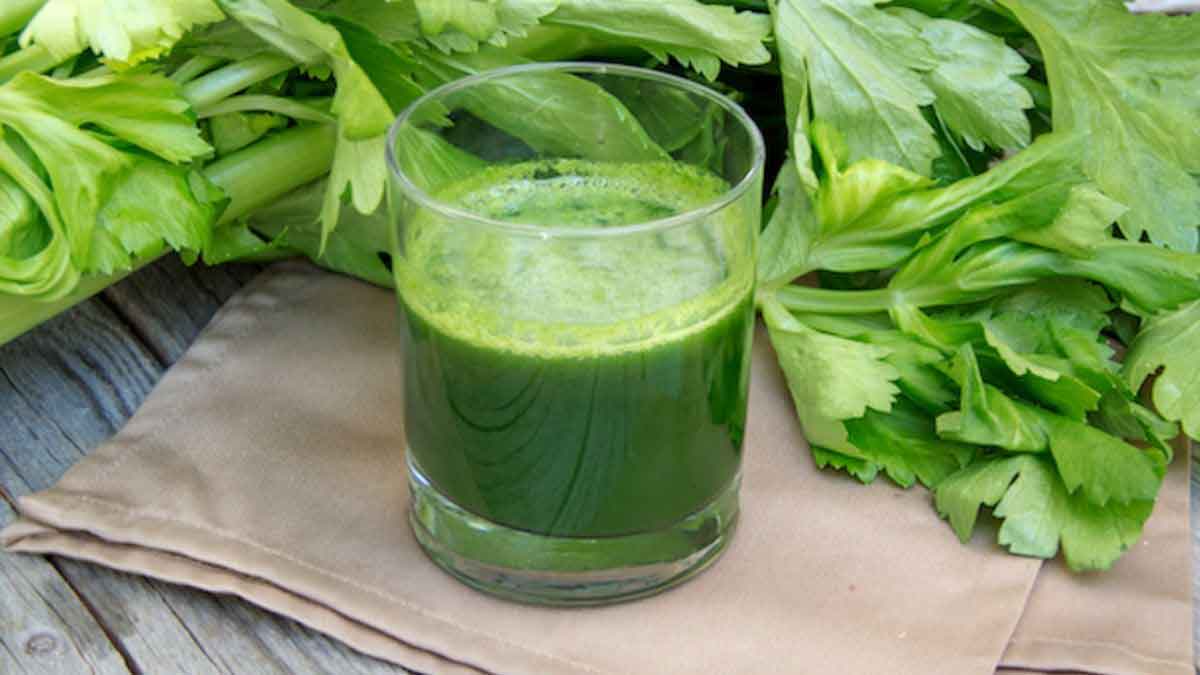 many wonderful health benefits of drinking coriander leaves juice daily 