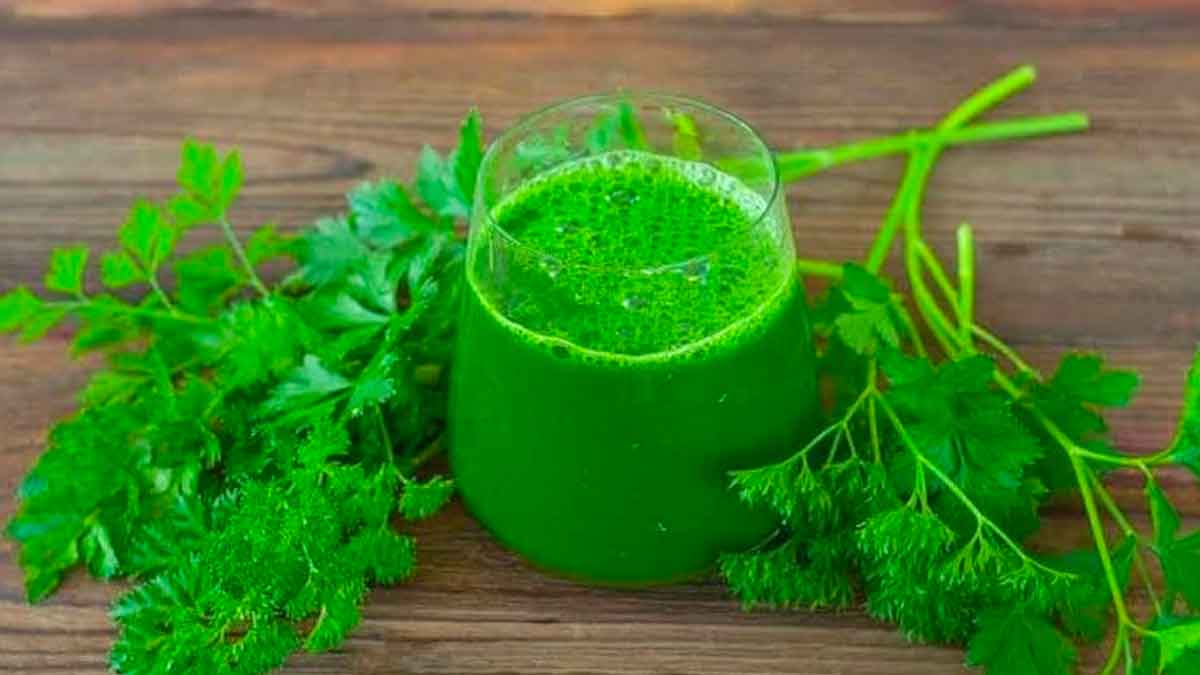 what happens if you drink coriander leaves juice daily 