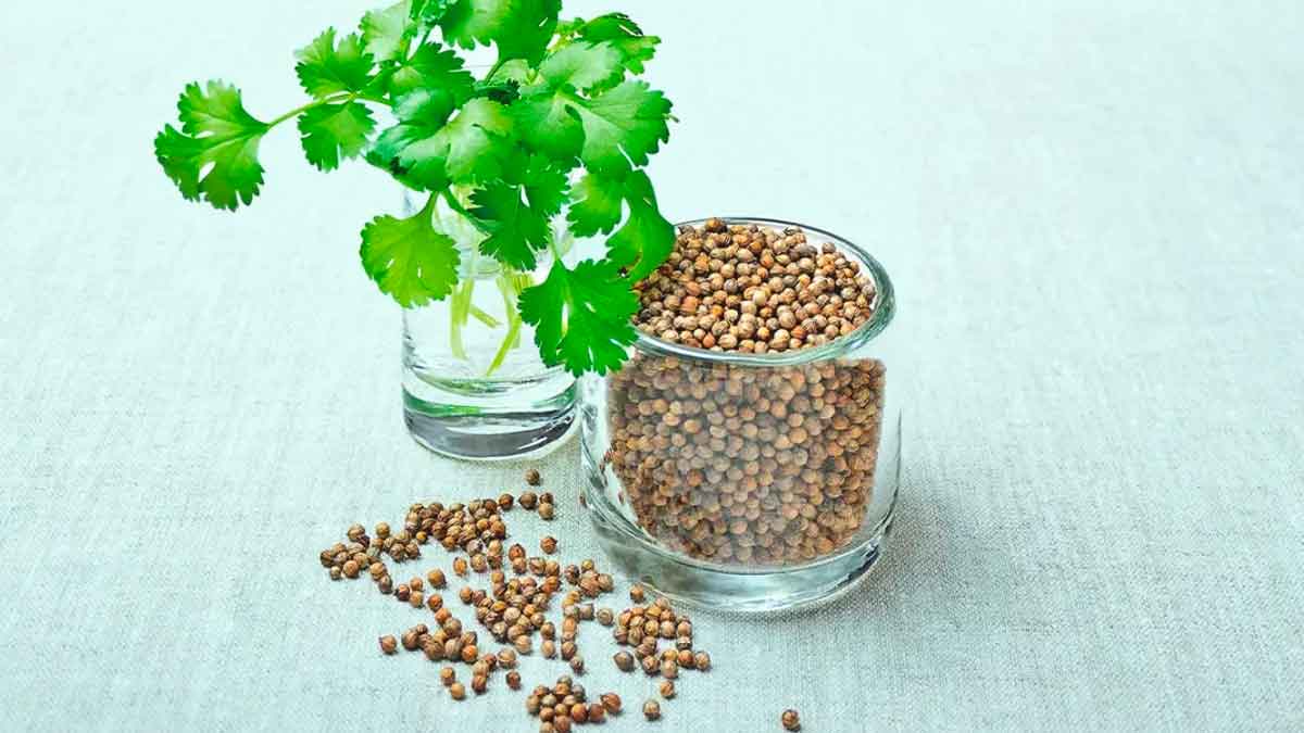 many wonderful health benefits of coriander 