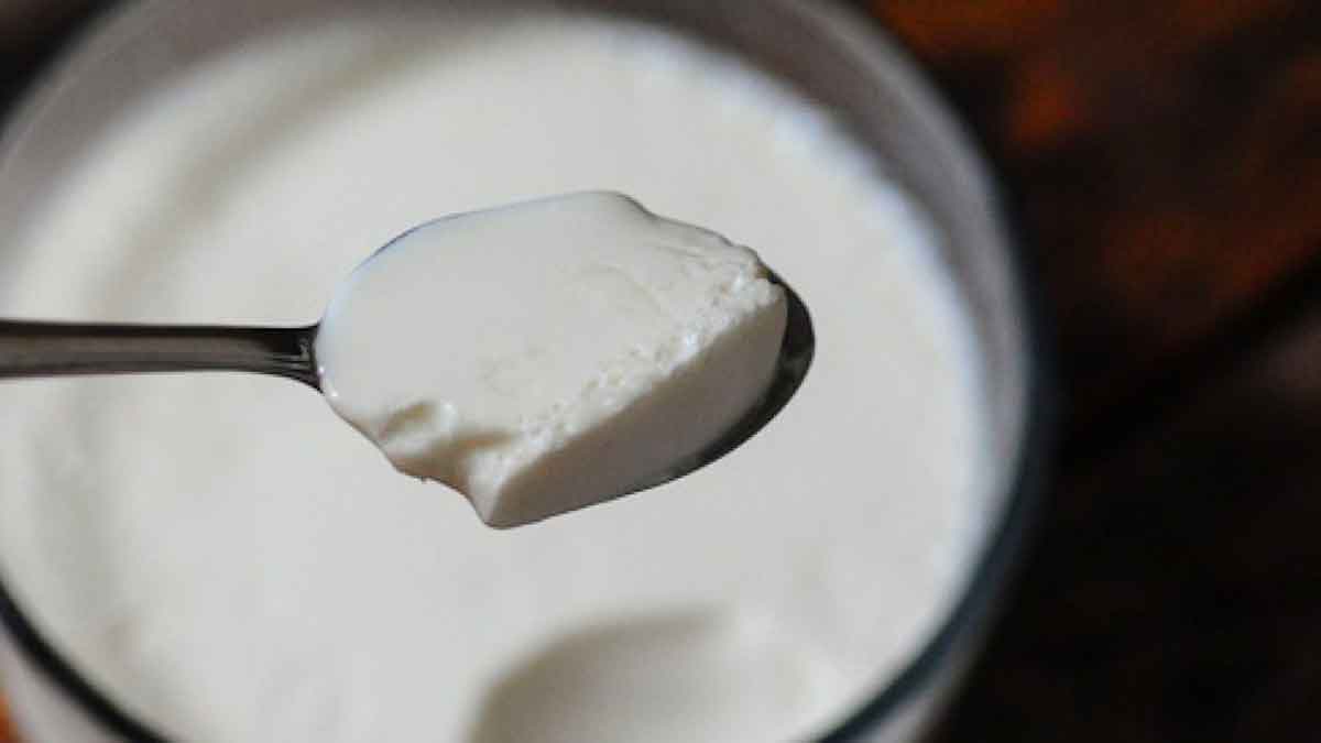 do not take these foods after eating curd 