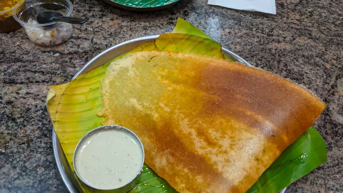 you can earn good income with dosa making business 