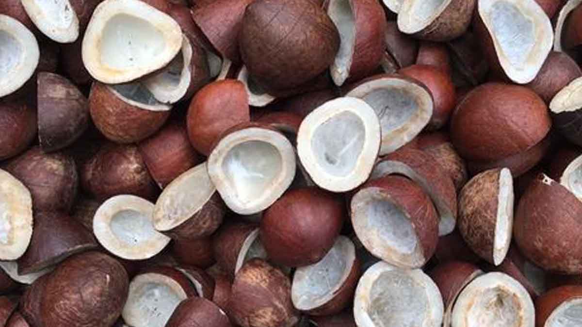 dry coconut gives many benefits for men and women 