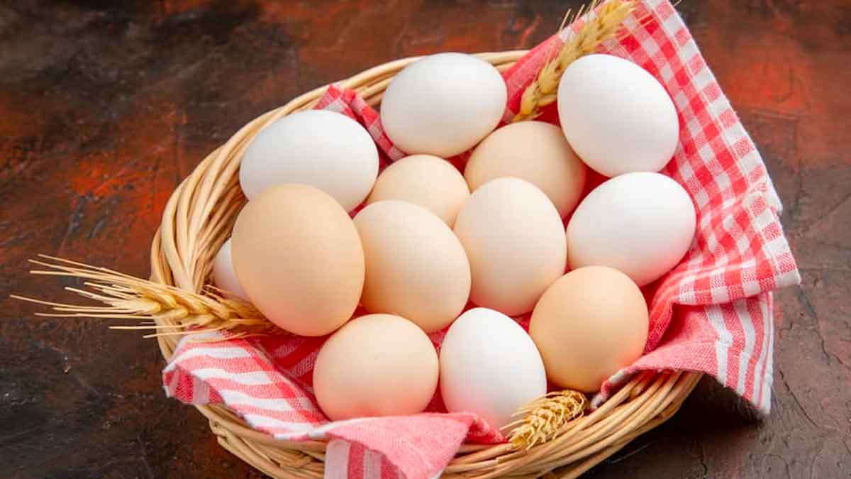 can eating eggs causes constipation 