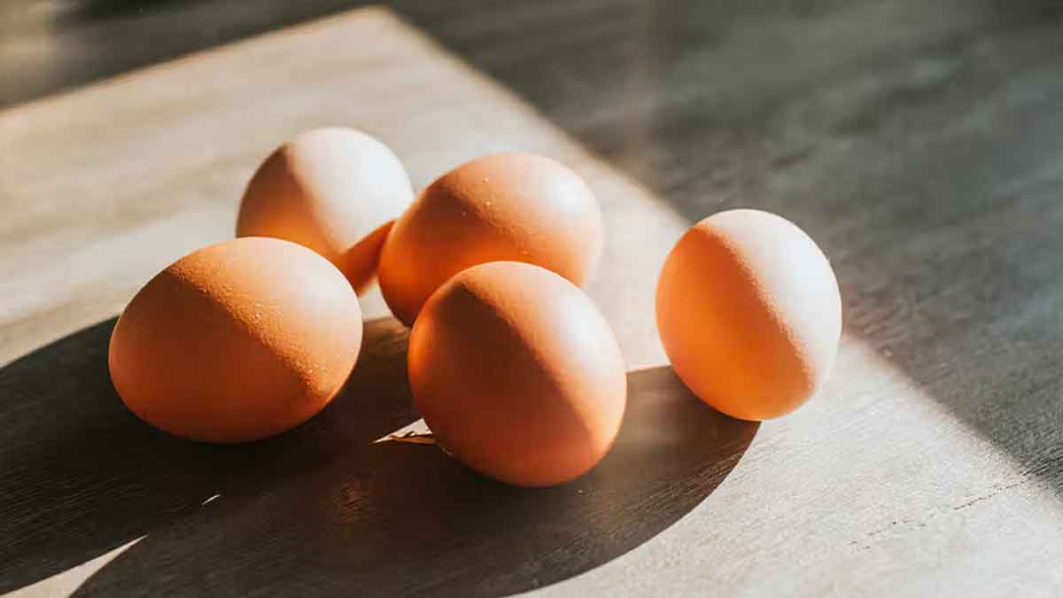 how many eggs we can eat per day must know 