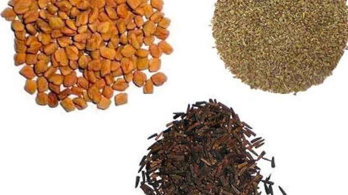 fenugreek seeds ajwain and kala jeera wonderful medicine 