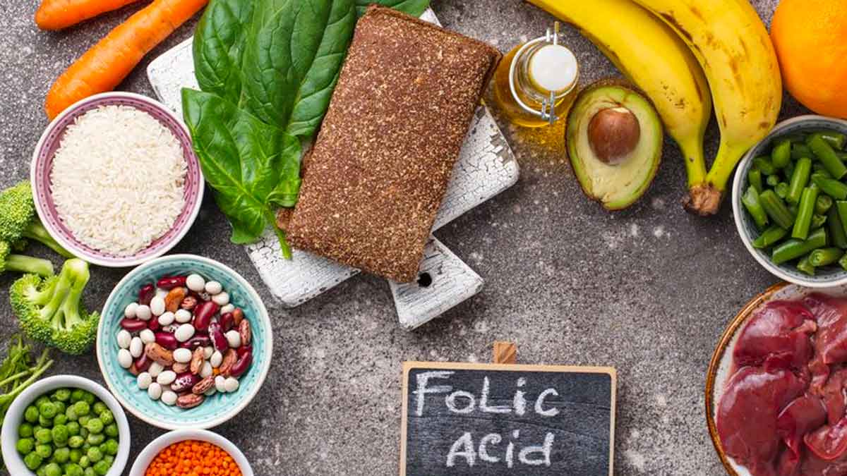 folic acid is necessary for all of us 