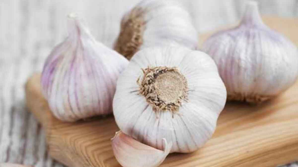 many wonderful health benefits of taking garlic daily 