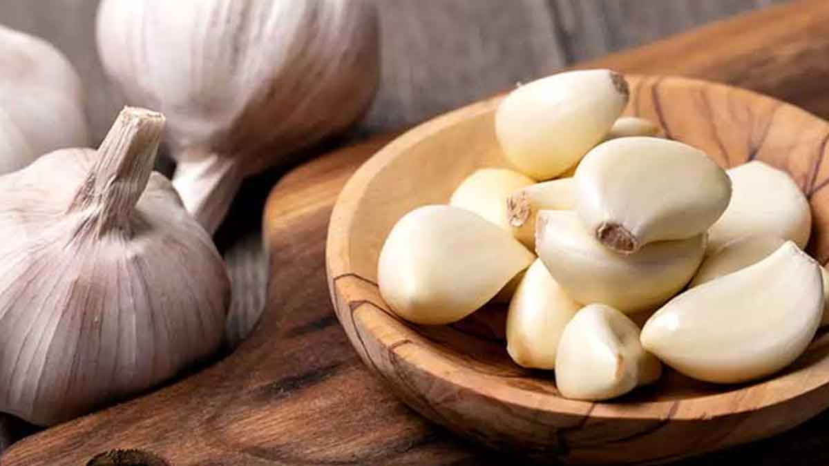 many wonderful health benefits of garlic 