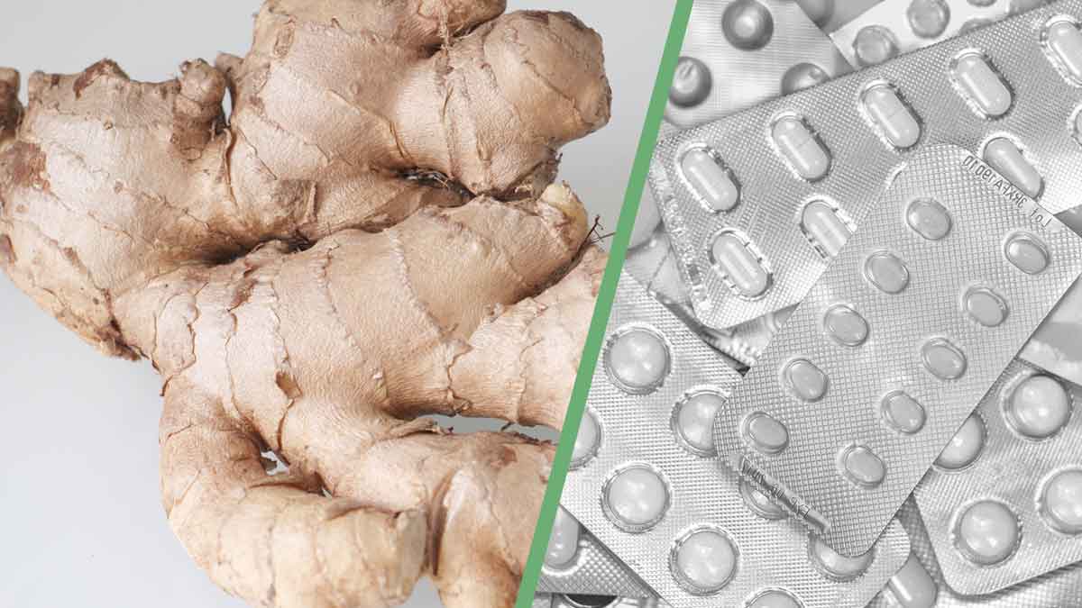 take ginger daily to reduce diabetes 