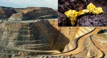 Gold Mine : మ‌న దేశంలో భారీగా బ‌య‌ట ప‌డ్డ బంగారు నిల్వ‌లు.. కావ‌ల్సినోళ్ల‌కు కావ‌ల్సినంత‌.. ఎక్క‌డో తెలుసా..?