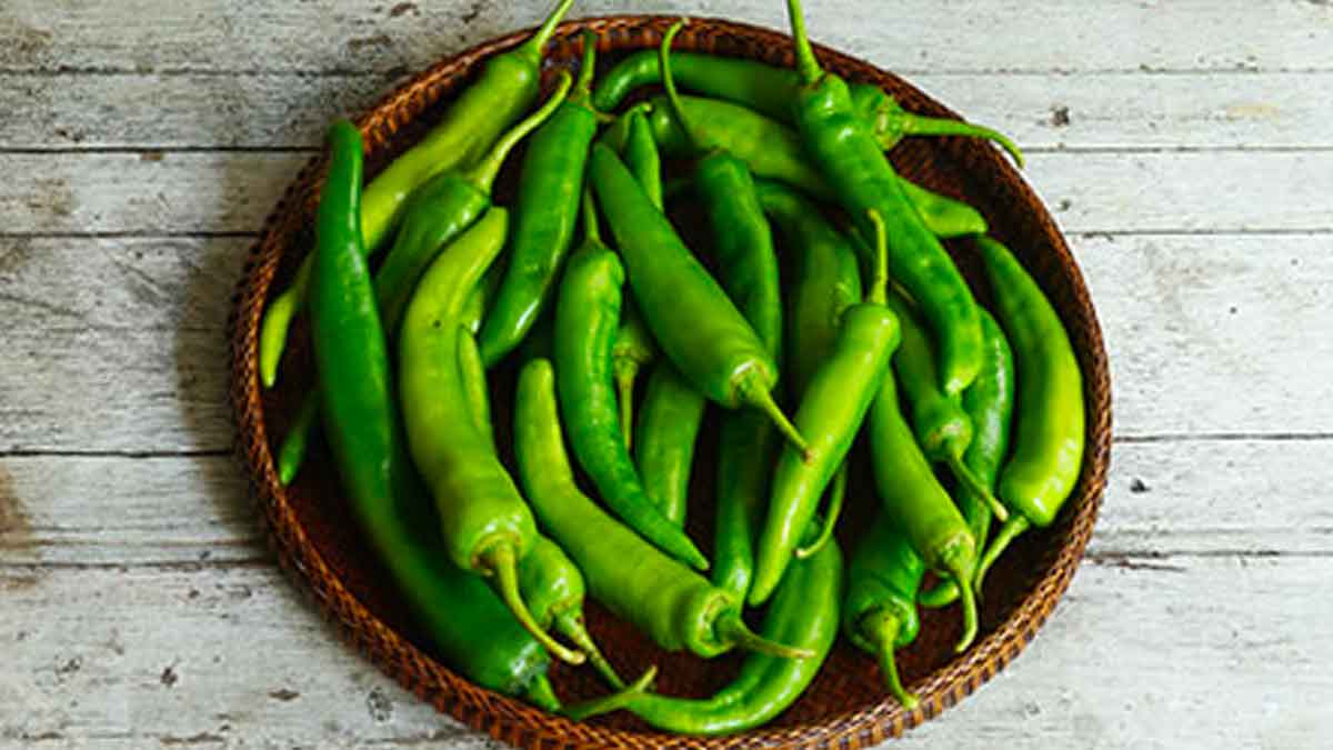 take green chilli daily diabetes will be reduced 