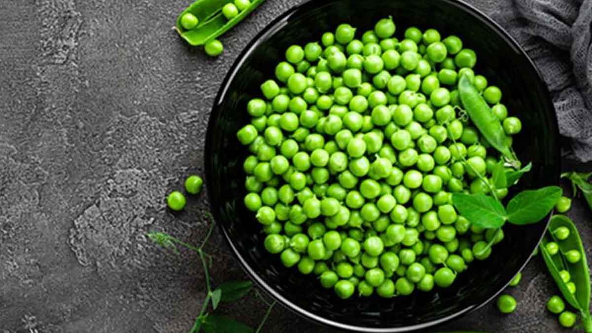 many wonderful health benefits of green peas 