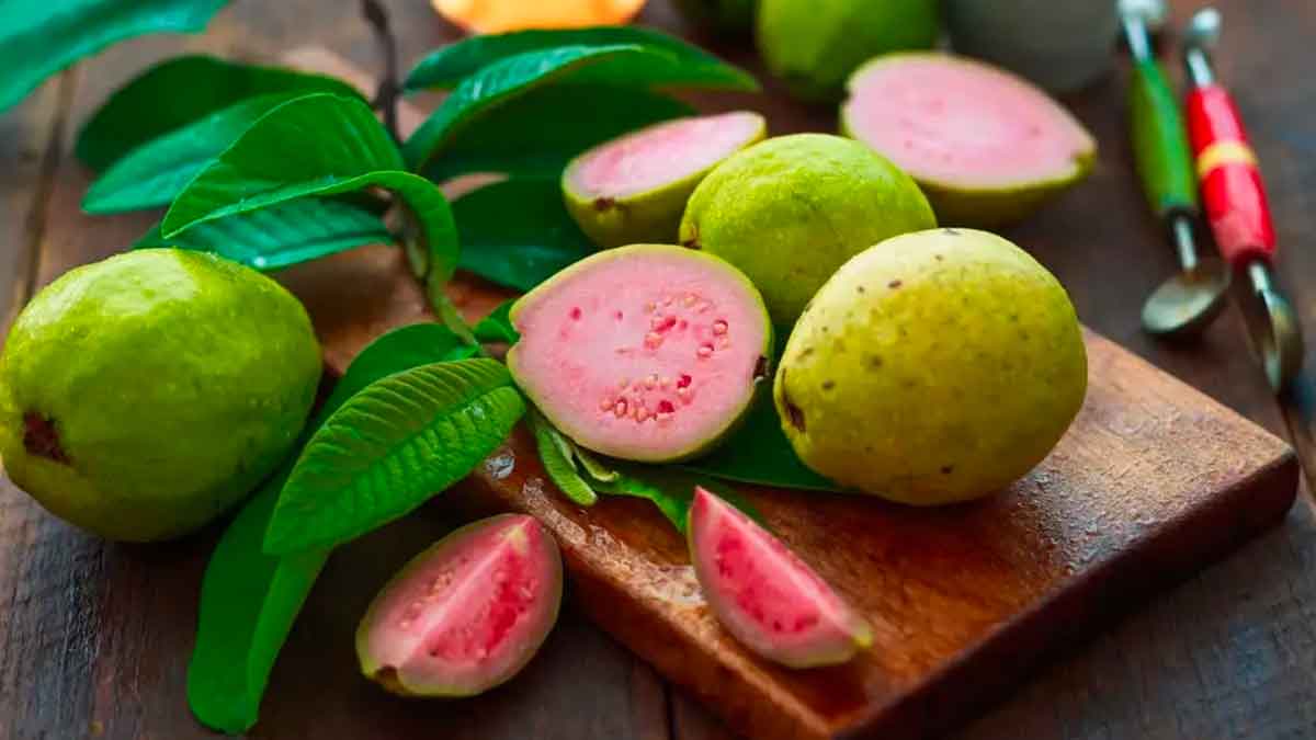 many wonderful health benefits of guava 