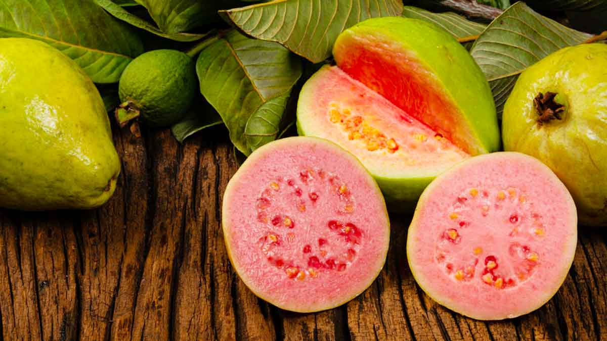 many wonderful health benefits of guava take one daily 