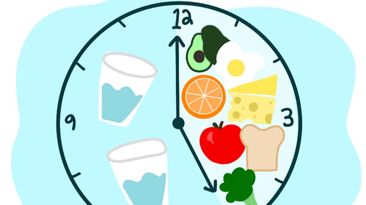 intermittent fasting is the best solution for weight loss 