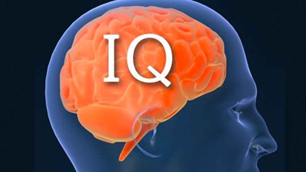 what is iq and how it is measured 