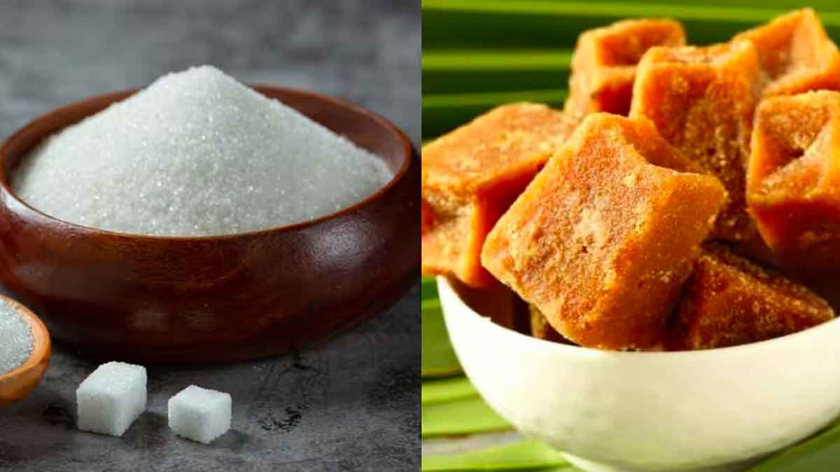 many wonderful health benefits of jaggery 