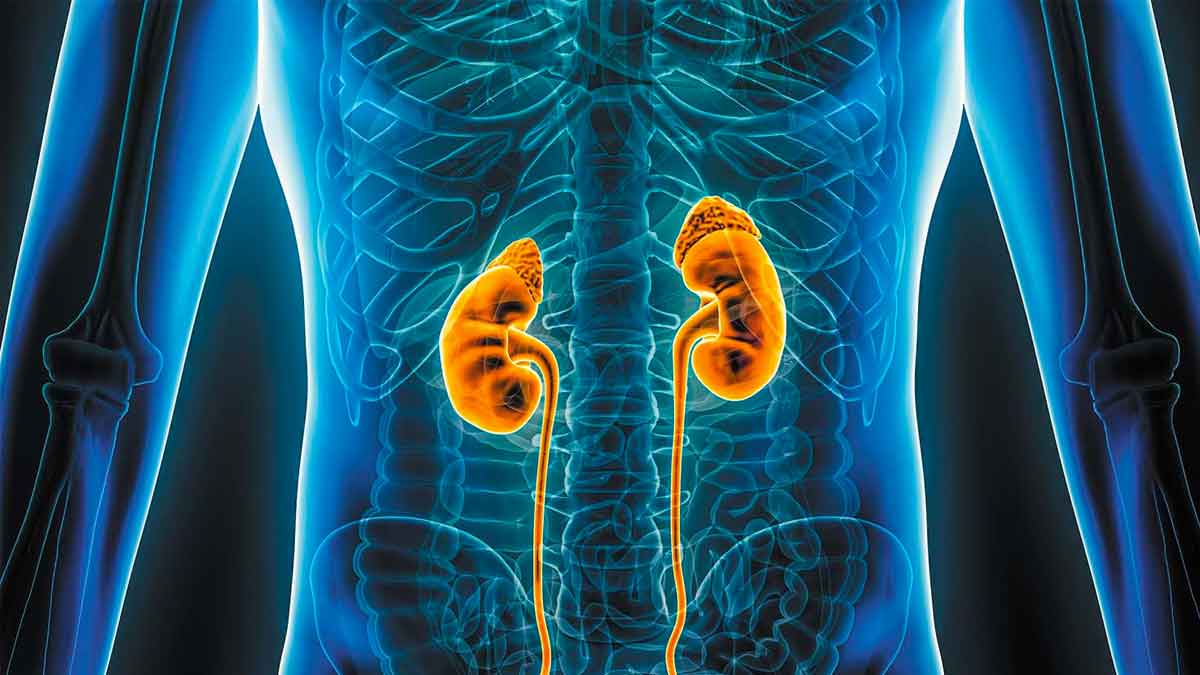 if kidney diseases are there then you might die soon 