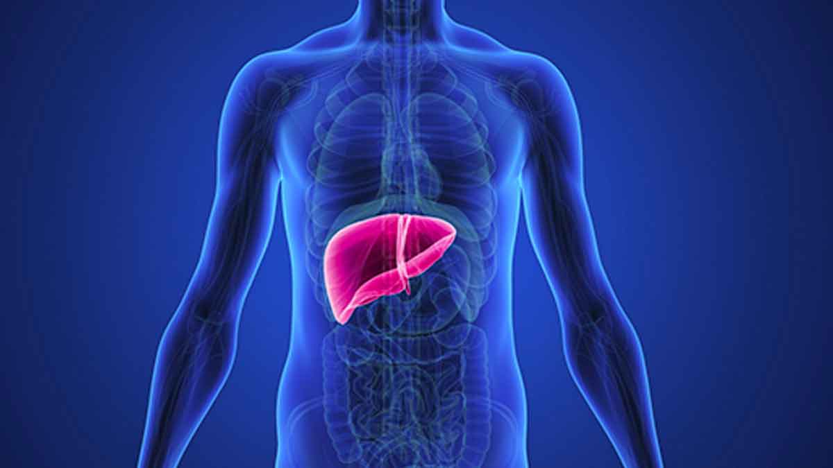 take these foods to clean your liver must know 