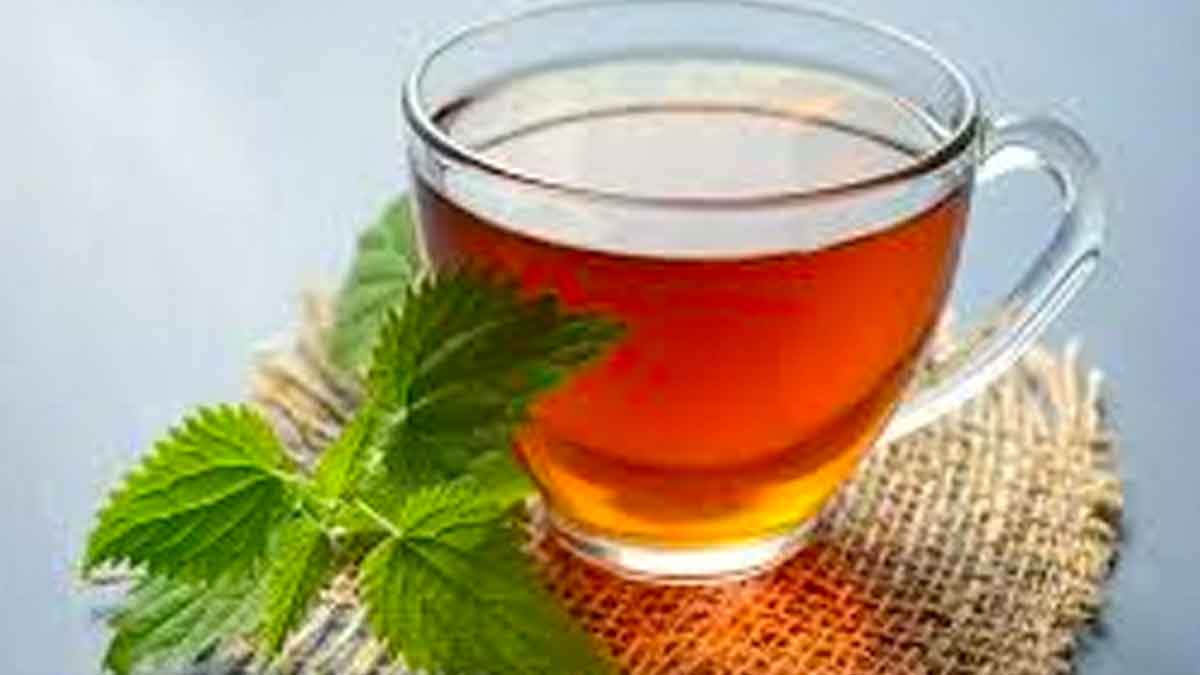 many wonderful health benefits of mint tea 