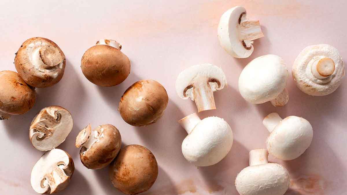 mushrooms health benefits 