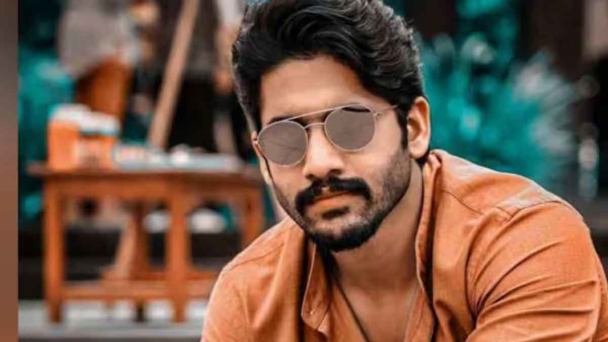 these naga chaitanya movies were stopped in the middle 