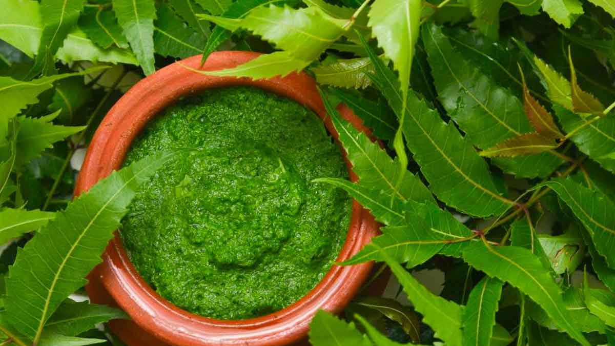 know if neem leaves reduces diabetes 