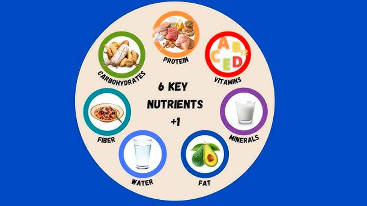 do you know about micro and macro nutrients 