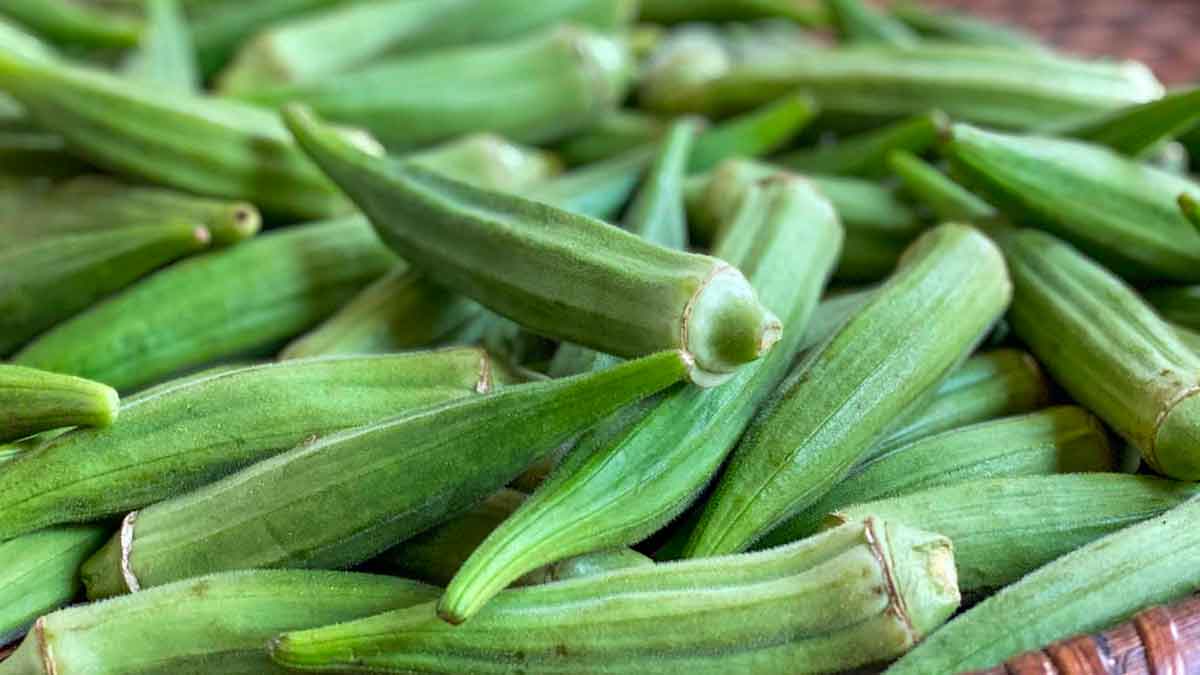 many wonderful health benefits of okra 