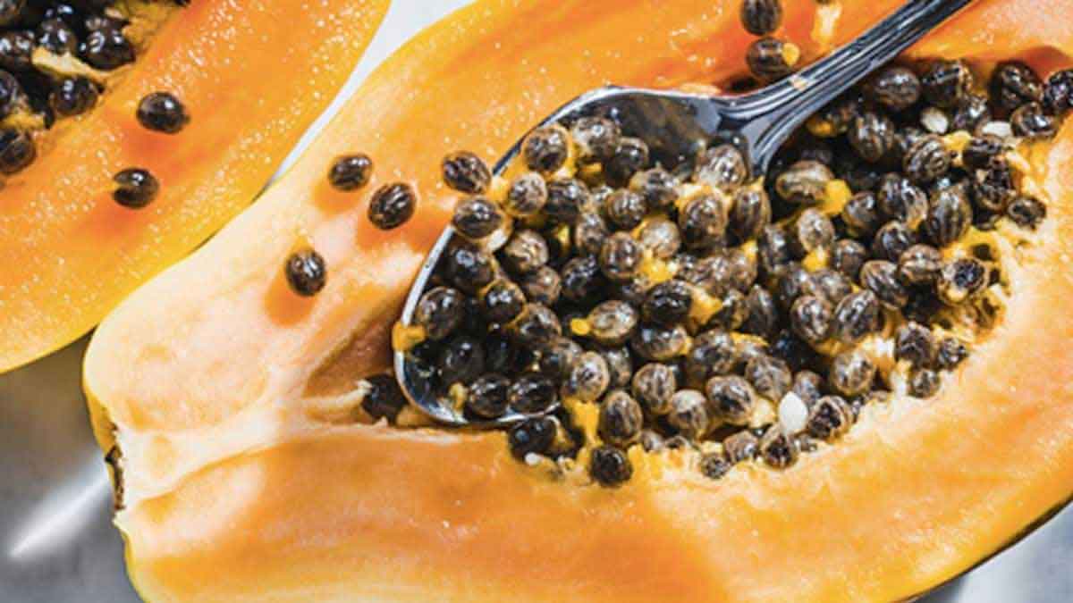 many wonderful health benefits of papaya seeds take daily 