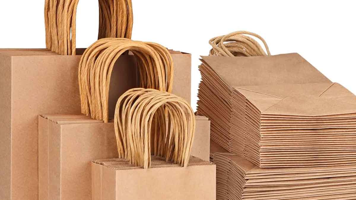 you can earn good income with paper bags making 